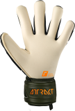Reusch Attrakt Freegel Gold X 5370935 5556 green grey back